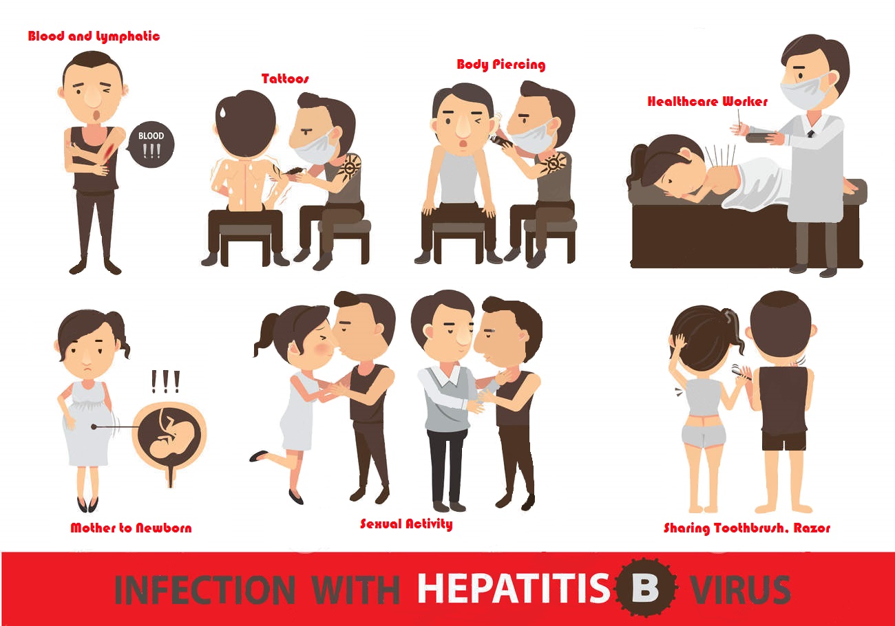 Как передается гепатит В?